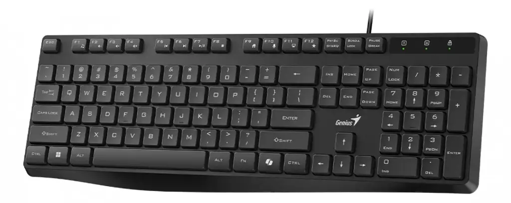 nb_teclado-genius-rs2-kb-117s-ai-sp-blk-usb_ver_5dba3f78fde5ad8afdef7e070f2efe92.webp